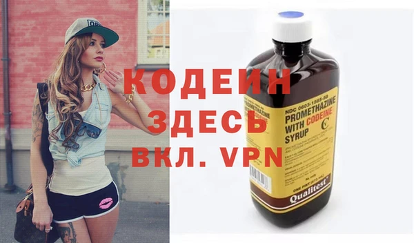 apvp Козельск