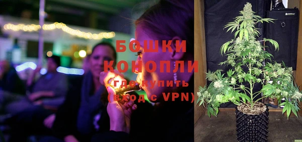 apvp Козельск