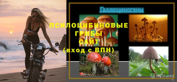 jwh Кодинск
