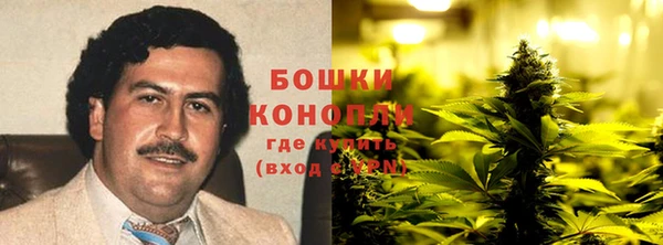 apvp Козельск