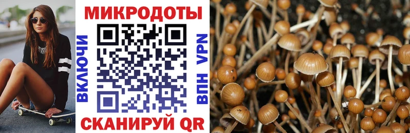 Купить  Северо-Курильск  Галлюциногенные грибы ЛСД 